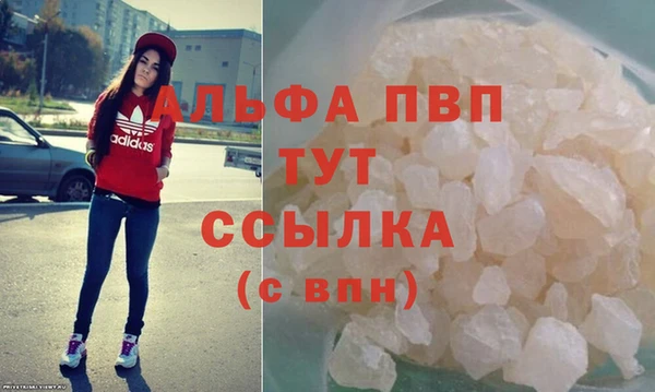 молекула духа Белоозёрский