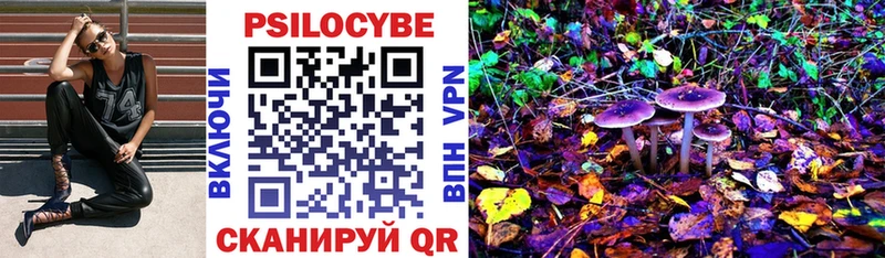 Купить где  Саки  Галлюциногенные грибы Psilocybine cubensis 